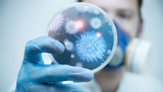 To Save Modern Medicine, Scientists Hunt for New Antibiotics